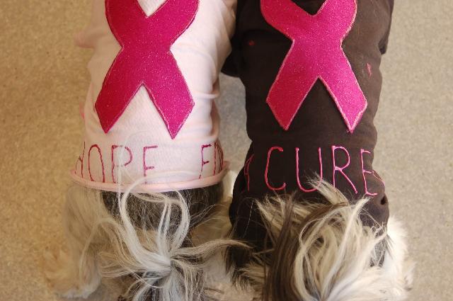 Hope for a cure