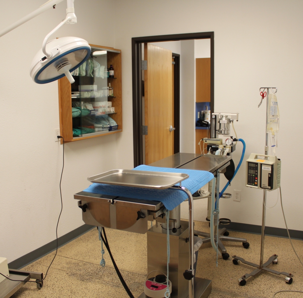 Surgical Suite