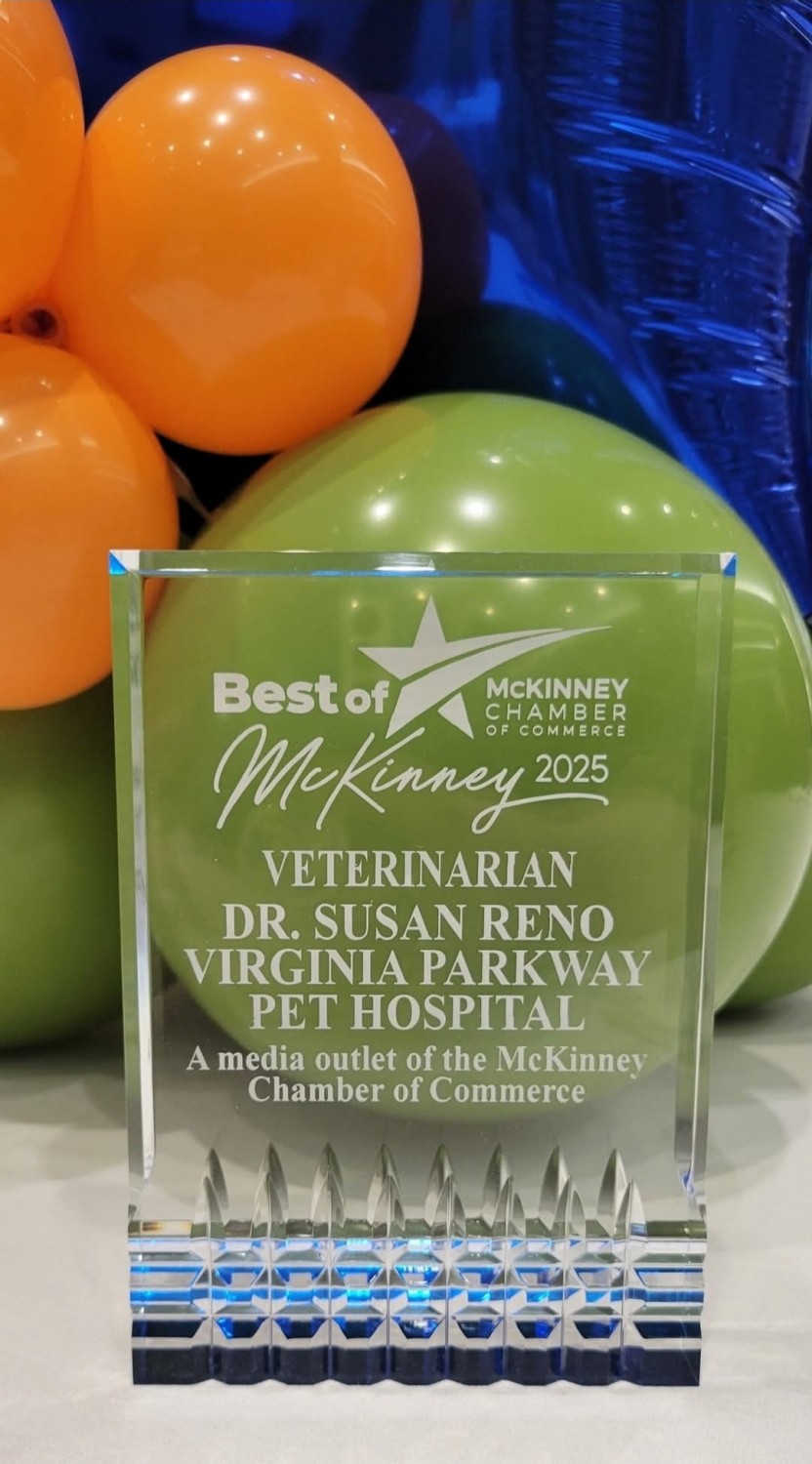 2025 MT Best of 2025 MT Best of